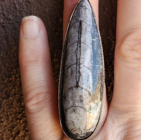 New Huge Orthoceras Fossil 925 Silver Statement Ring. - Picture 6 of 9